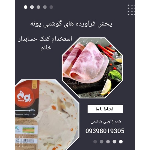 استخدام کمک حسابدار در شیراز