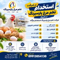 استخدام در شرکت تخم مرغ پارسیرنگ در شیراز